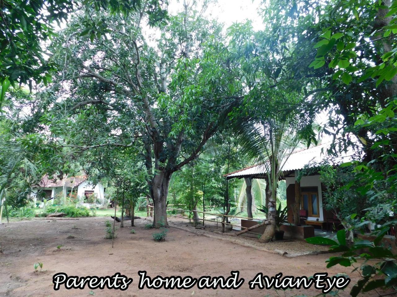 Ferienwohnung Yala Avian Eye Safari Buttala Exterior foto